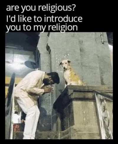 Doggooo