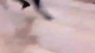 Quando você não entende o tutorial