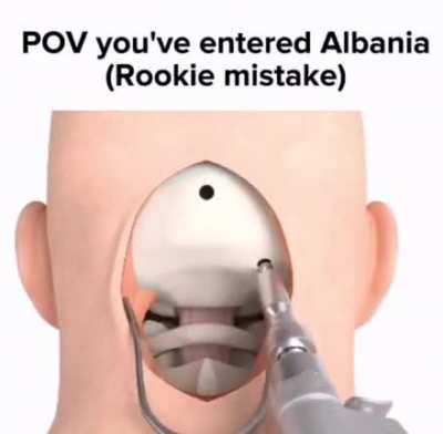 No pls