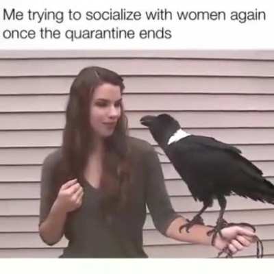 me_irl