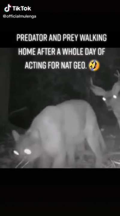 Behind the scenes in Africa