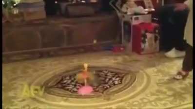 My favourite video on the internet