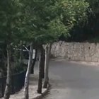 Dumpster of inevitability