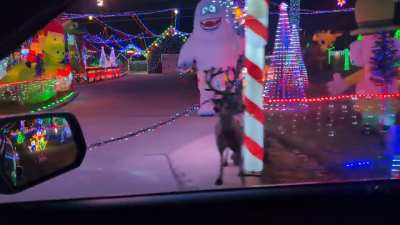 Keeping up with the neighbor at Christmas