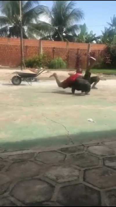OBRA de um stand inimigo?!