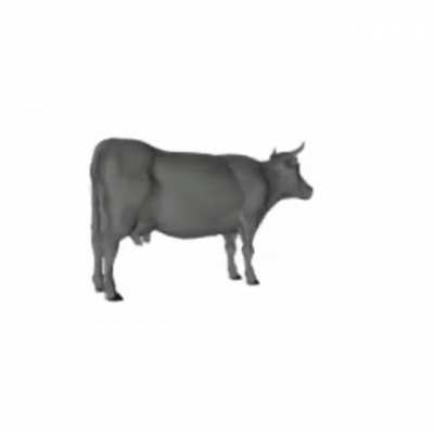 Vaca dando vueltas