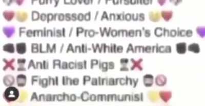 Chris, Fursona user and Antifa General