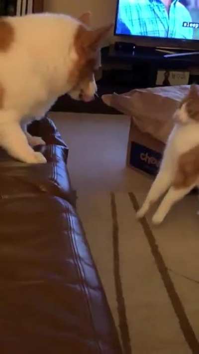 She knew it was coming