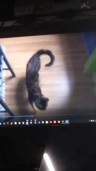 Sorry for the quality