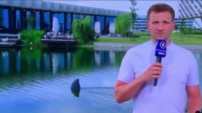 Der Weiße Hai von Herzogenaurach
