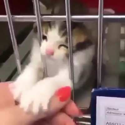 Poor guy