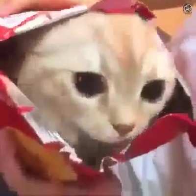 Chips