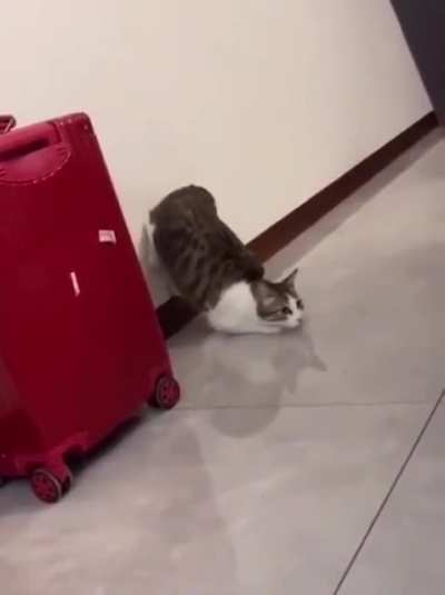 Maybe maybe maybe