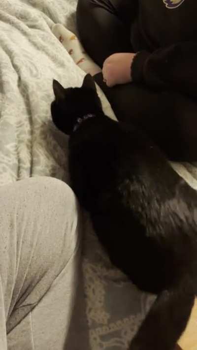 Butt wiggle calibrating…