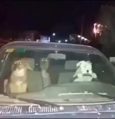 perros facheros