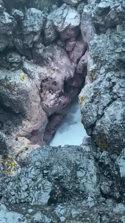 WCGW filming a blowhole
