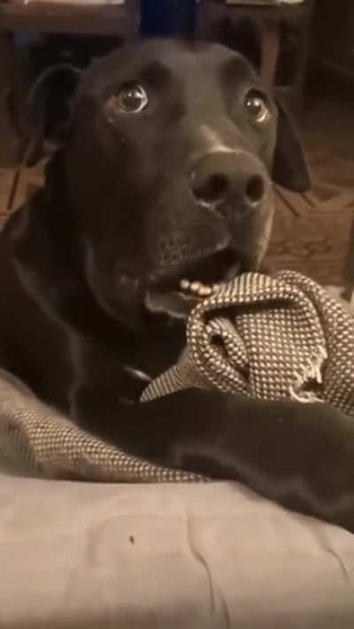 valio =0