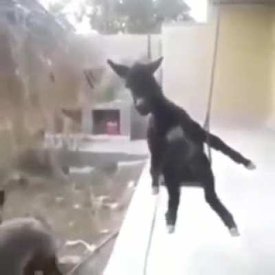 Que bençam 🙇🏻‍♂️