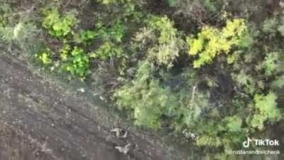 Drone Dropped Munition Falls on Squad of Four Russian Soldiers