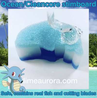 Ocean stimboard!!