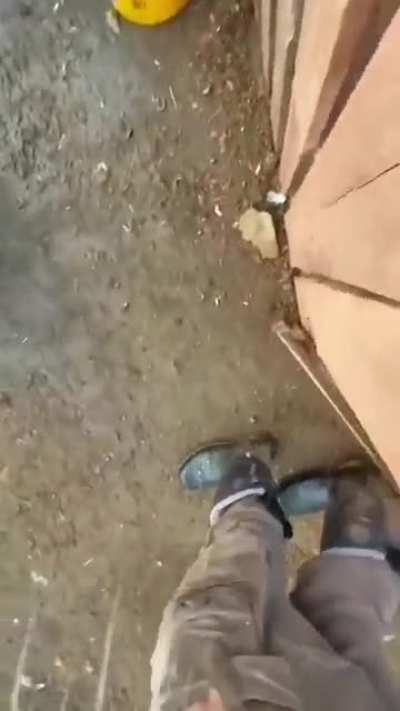 POV: you're a barn cat