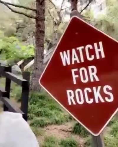 Watch it
