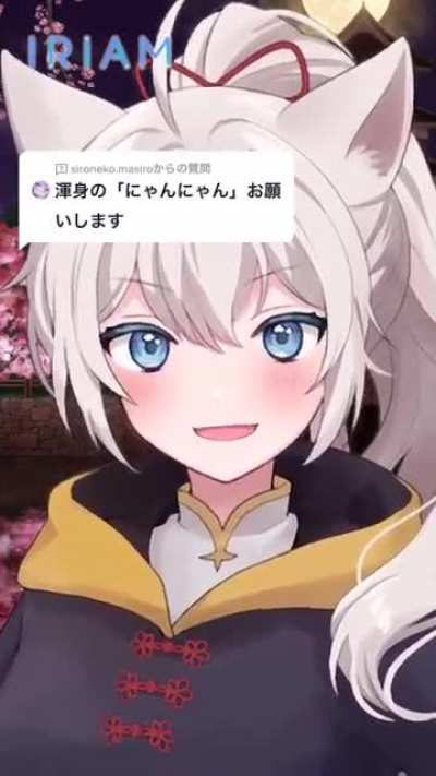 [fluff] Cat god-apprentice Vtuber NEKOMA TAMA's nyan-nyan🐱💕