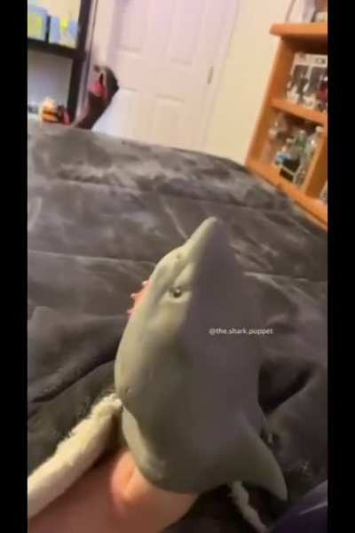 Shark Puppet