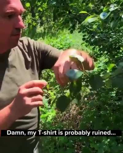 Ukrainian soldier shows dirty booby traps set up by the Chechens