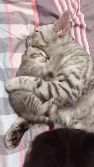 mother and her baby