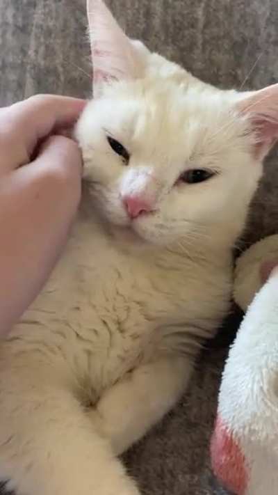 I woke her up