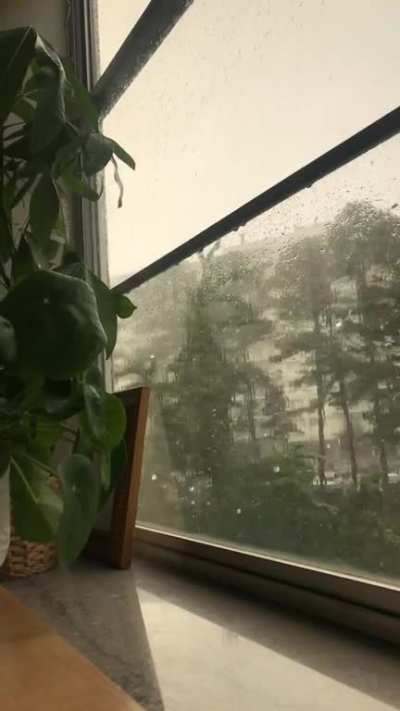 Sudden rain shower here in Memphis, TN