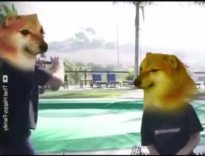 Bonk!...