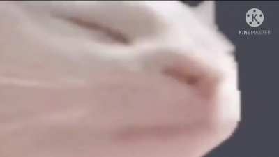 Wait for it...
