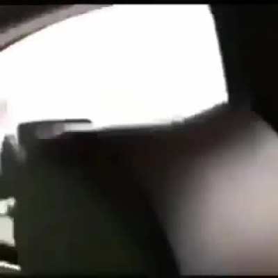 furry_shot.mov2