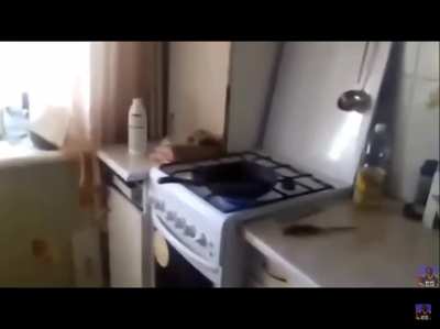 That sucks