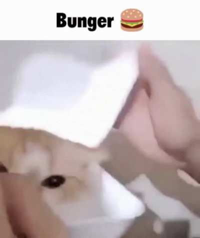 Rule