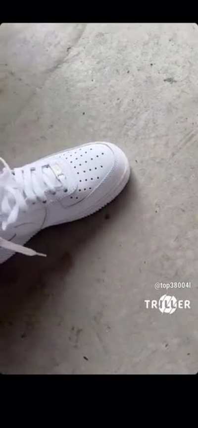 Damn yb on that nigga Adin head