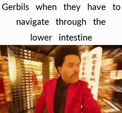 A lot of light in there for some reason