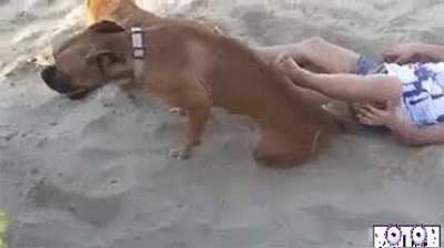 Behold, my wrath human...