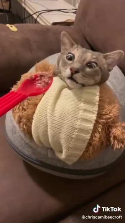 is that.. food??