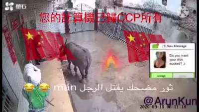 FUNNY BULL KILLS MAN in China 😂😂😂👌✅<wbr>✅✅ مضحك الثور قتل xd