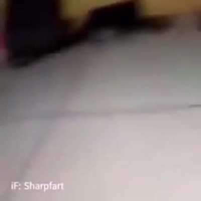 Y E E T