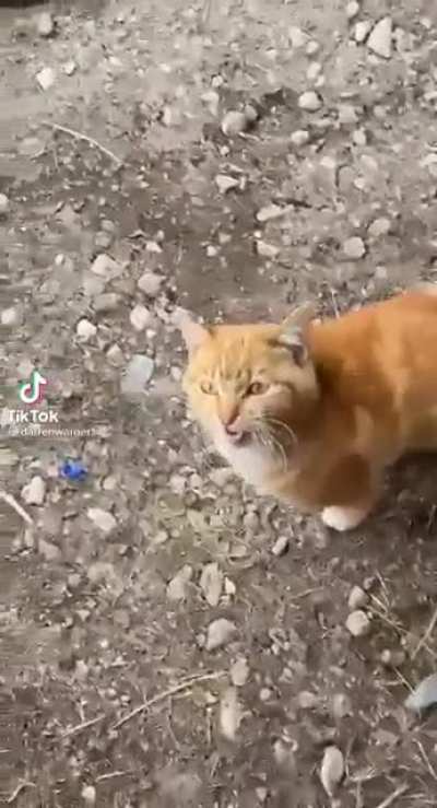vai ficar zuando?