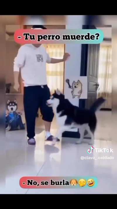 😅😅😅