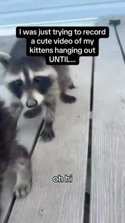 Wunky Infiltrator