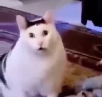 Bruh