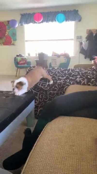 Me timing the dip’s.