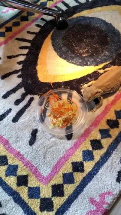 Luna got a bit too excited for her squash and carrots this morning