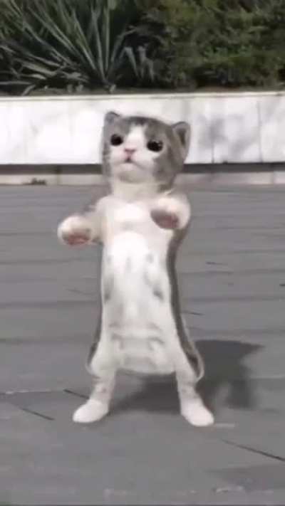 siu